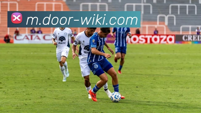 维基体育平台生态图